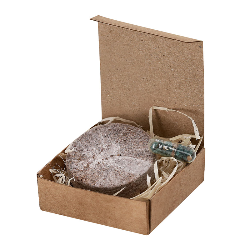 Plantable set - Image 4